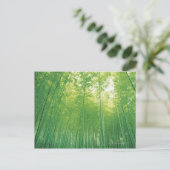 Carte Postale Forêt en bambou 2 (Debout devant)