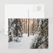 Carte Postale Forêt en hiver (Devant / Derrière)