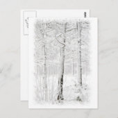 Carte Postale Forêt en hiver (Devant / Derrière)
