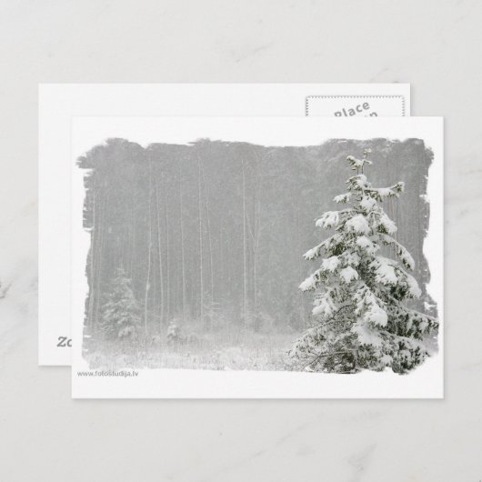 Carte Postale Forêt en hiver (Devant / Derrière)