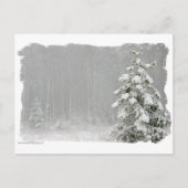 Carte Postale Forêt en hiver (Devant)
