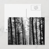 Carte Postale Forêt en noir et blanc (Devant / Derrière)