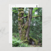 Carte Postale Forêt en vert (Devant / Derrière)