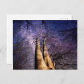 Carte Postale Forêt enchantée (Devant / Derrière)