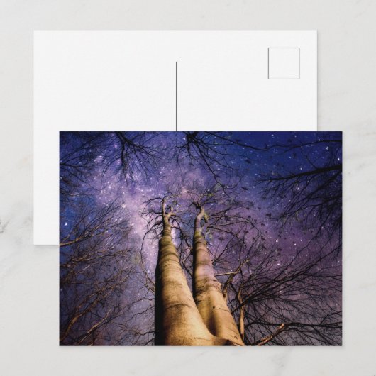 Carte Postale Forêt enchantée (Devant / Derrière)