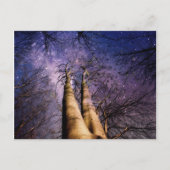 Carte Postale Forêt enchantée (Devant)