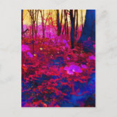 Carte Postale Forêt enchantée (Devant)