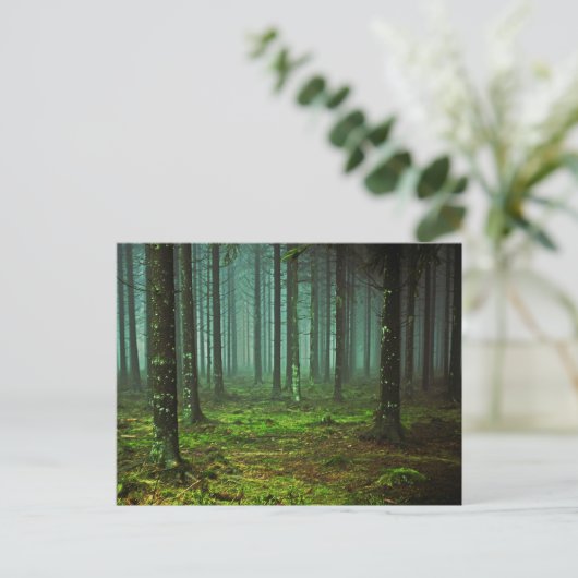Carte Postale Forêt enchantée 1 (Debout devant)