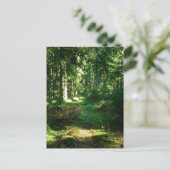 Carte Postale forêt enchanteresse (Debout devant)