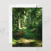Carte Postale forêt enchanteresse (Devant / Derrière)