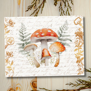 Carte Postale Forêt Fantaisiste Champignon Lettre Vintage Maison