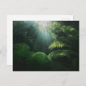 Carte Postale Forêt | Fermes dans la forêt tropicale (Devant / Derrière)