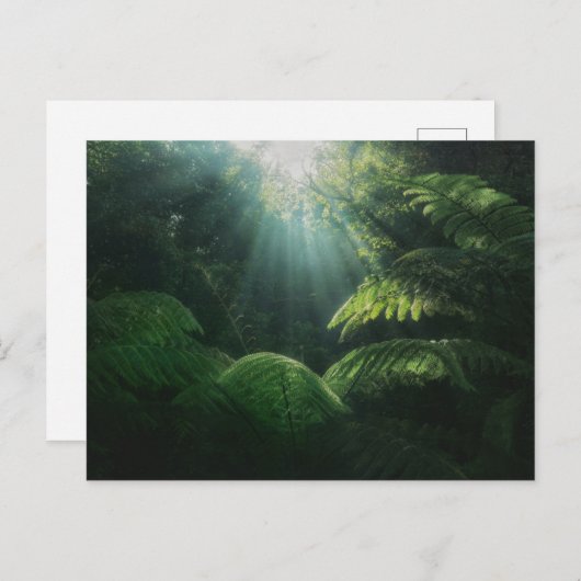 Carte Postale Forêt | Fermes dans la forêt tropicale (Devant / Derrière)