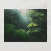 Carte Postale Forêt | Fermes dans la forêt tropicale (Devant)