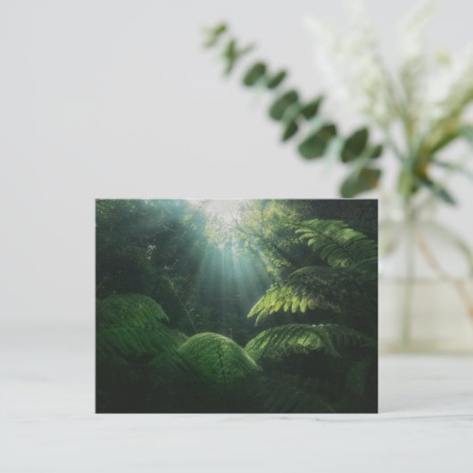 Carte Postale Forêt | Fermes dans la forêt tropicale (Debout devant)