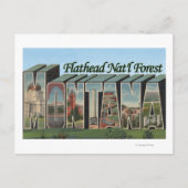 Carte Postale Forêt Flathead Nat'l, Montana (Devant)