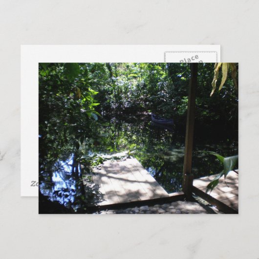 Carte Postale Forêt forestière (Devant / Derrière)