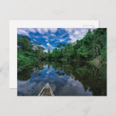 Carte Postale Forêt | Forêt de la jungle péruvienne (Devant / Derrière)
