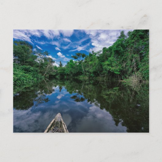 Carte Postale Forêt | Forêt de la jungle péruvienne (Devant)