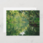 Carte Postale Forêt | Forêt de mangrove (Devant / Derrière)