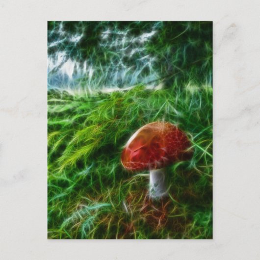 Carte Postale Forêt fractale des champignons (Devant)