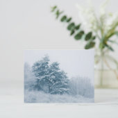 Carte Postale Forêt hiver photo (Debout devant)