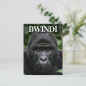 Carte Postale Forêt impenetrable de Bwindi Ouganda (Debout devant)