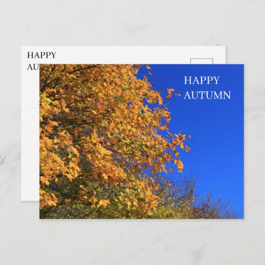 Carte Postale Forêt jaune d'automne (Devant / Derrière)