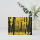 Carte Postale Forêt jaune d'automne (Debout devant)