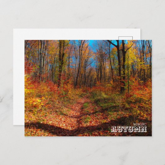 Carte Postale Forêt magique d'automne (Devant / Derrière)