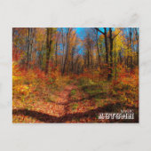 Carte Postale Forêt magique d'automne (Devant)