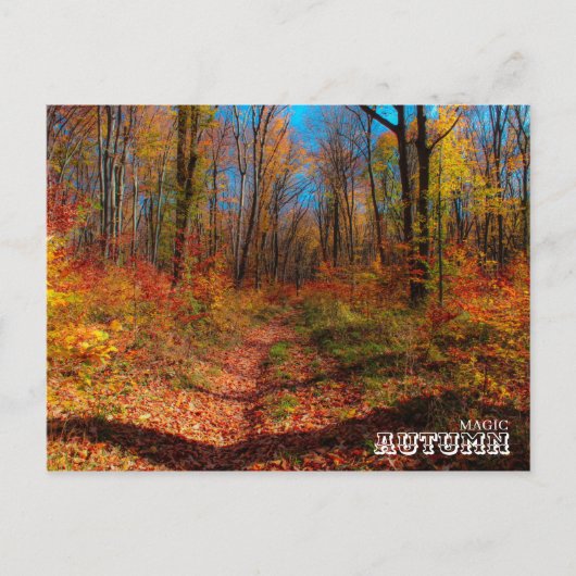Carte Postale Forêt magique d'automne (Devant)