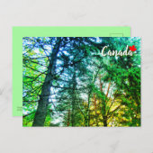 Carte Postale Forêt Médaille d'arbres Canada (Devant / Derrière)
