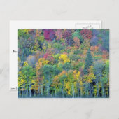 Carte Postale Forêt mixte de feuillus, Parc Gatineau (Québec), C (Devant / Derrière)