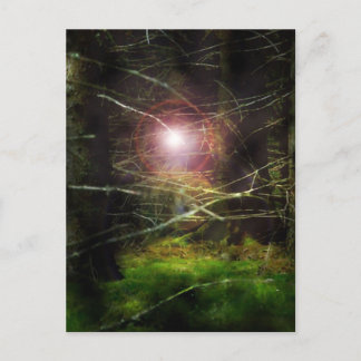 Carte Postale Forêt mystique