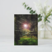Carte Postale Forêt mystique (Debout devant)