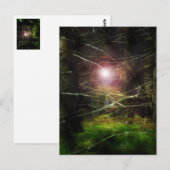 Carte Postale Forêt mystique (Devant / Derrière)