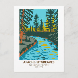 Carte Postale Forêt nationale d'Apache Sitgreaves vintage