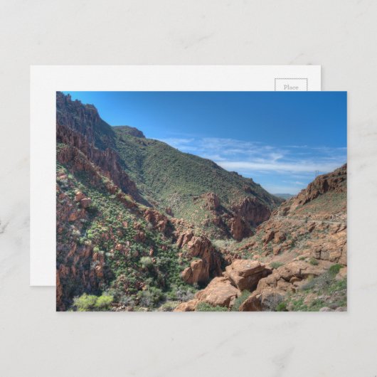 Carte Postale Forêt nationale de Coconino (Devant / Derrière)