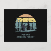Carte Postale Forêt nationale de Pisgah (Devant)