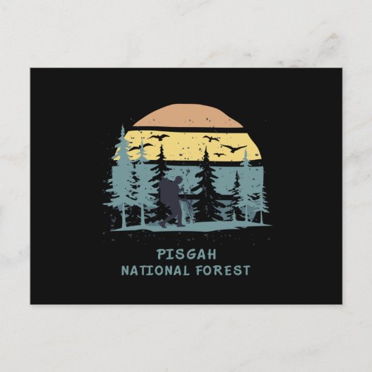 Carte Postale Forêt nationale de Pisgah (Devant)