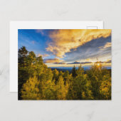 Carte Postale Forêt nationale de Santa Fe au coucher du soleil e (Devant / Derrière)