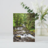 Carte Postale Forêt nationale de Siuslaw | Sweet Creek (Debout devant)