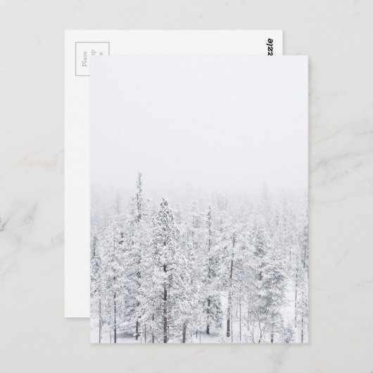 Carte Postale Forêt neigeuse (Devant / Derrière)