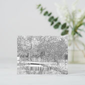 Carte Postale Forêt noire et blanche (Debout devant)