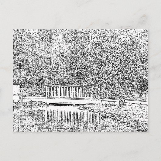 Carte Postale Forêt noire et blanche (Devant)