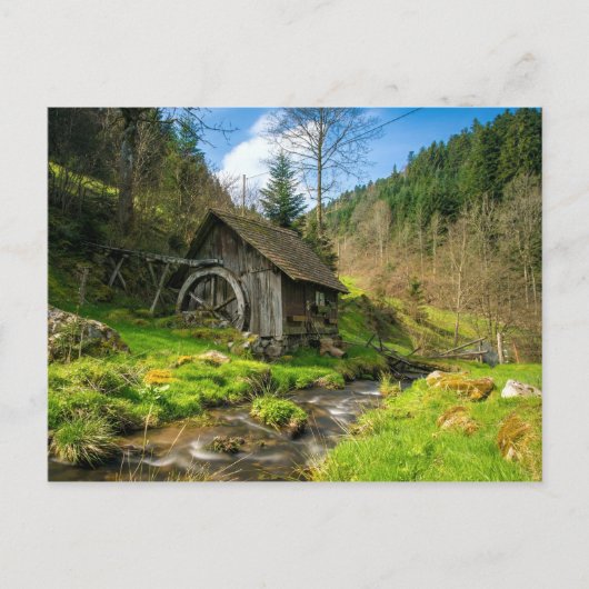 Carte Postale Forêt-Noire Grist Mill Allemagne (Devant)