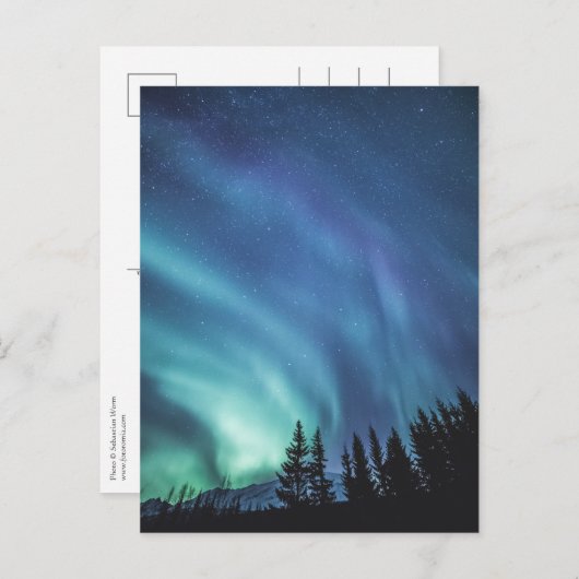 Carte Postale Forêt Northern Lights (Devant / Derrière)