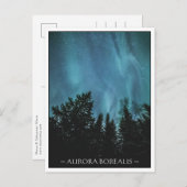 Carte Postale Forêt Northern Lights (Devant / Derrière)