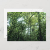 Carte Postale Forêt nuageuse de Monteverde, Costa Rica. (Devant / Derrière)